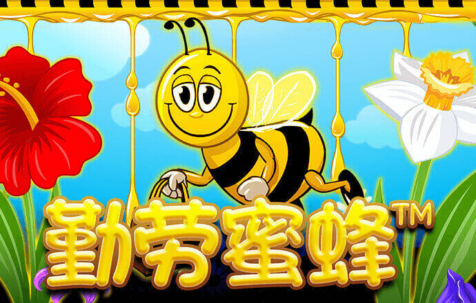 c7娱乐平台网页版
